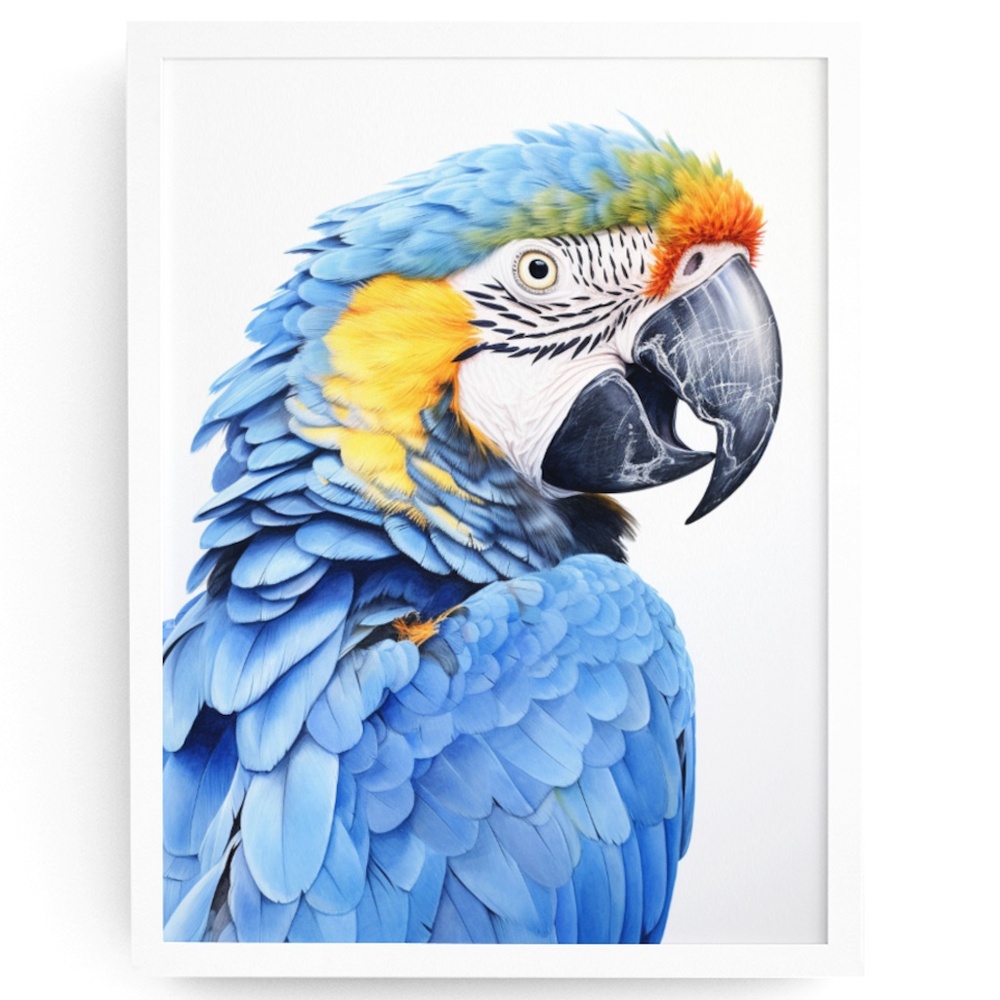 Blue Macaw Parrot Bird Watercolor Wall Art Print Poster Unframed